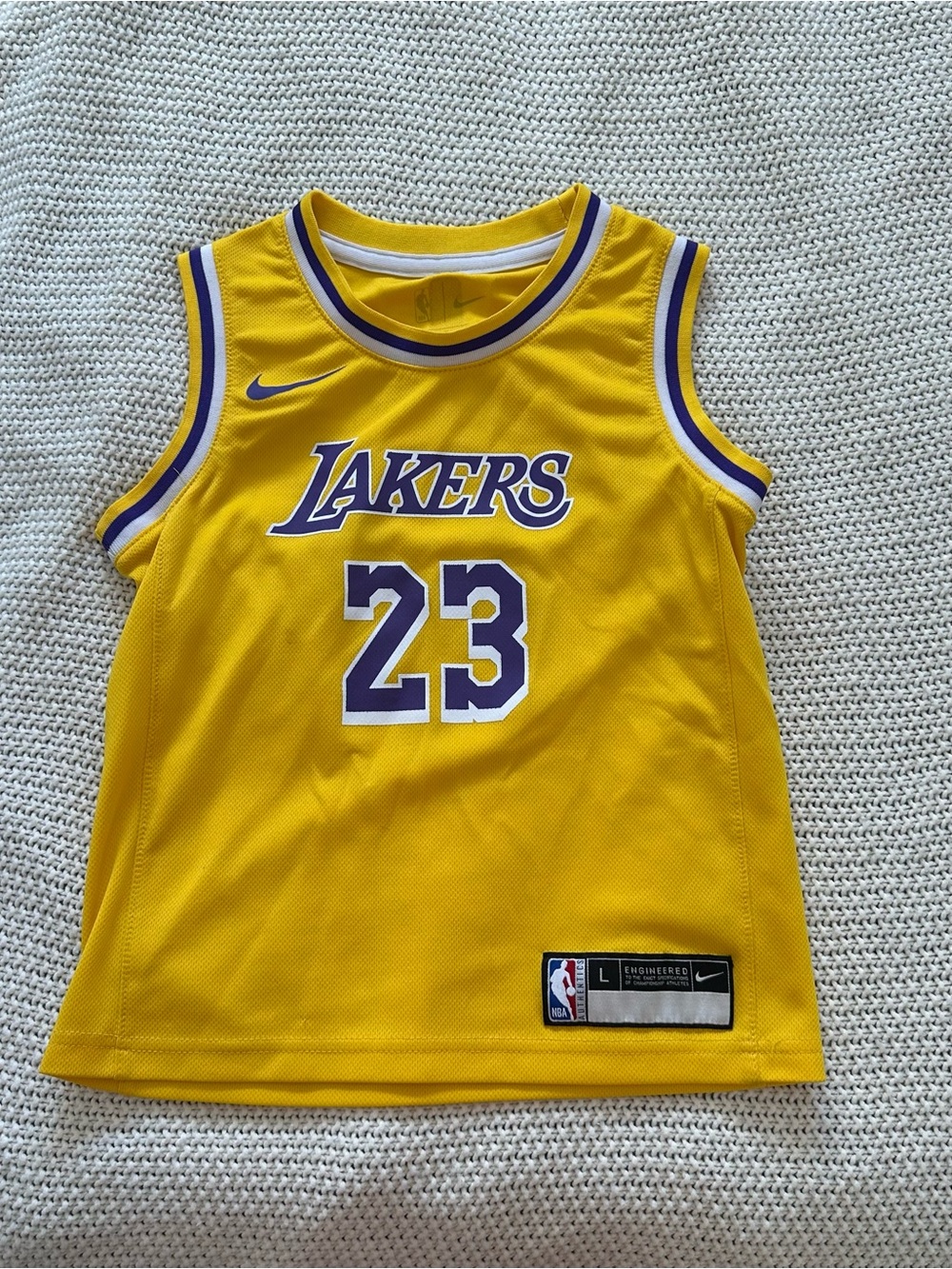 LeBron James youth Lakers basketball Jersey with Purple Trim